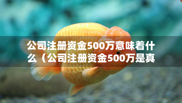 公司注册资金500万意味着什么（公司注册资金500万是真的有这么多吗）