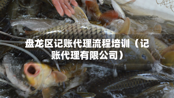 盘龙区记账代理流程培训（记账代理有限公司）