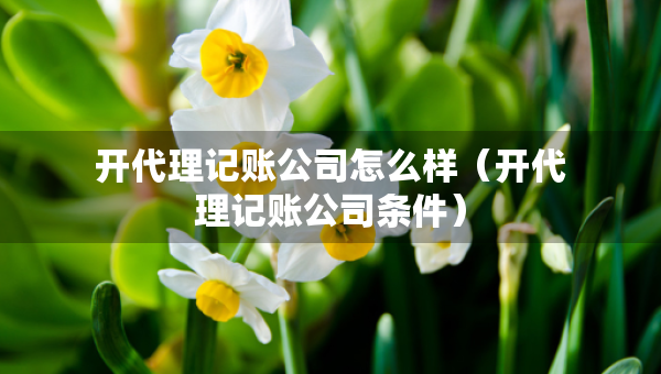 开代理记账公司怎么样（开代理记账公司条件）