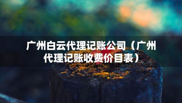 广州白云代理记账公司(广州代理记账收费价目表) 广州白云代理记账公司(广州代理记账收费价目表)