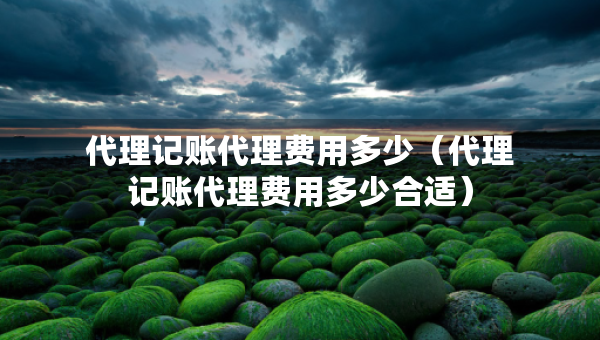 代理记账代理费用多少（代理记账代理费用多少合适）