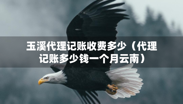 玉溪代理记账收费多少（代理记账多少钱一个月云南）