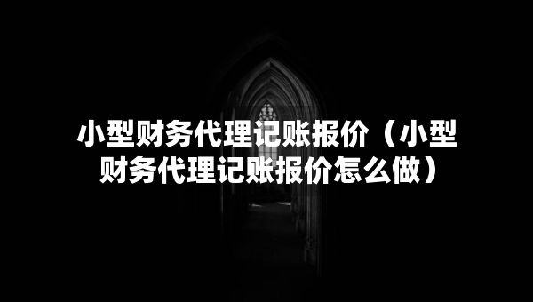 小型财务代理记账报价（小型财务代理记账报价怎么做）