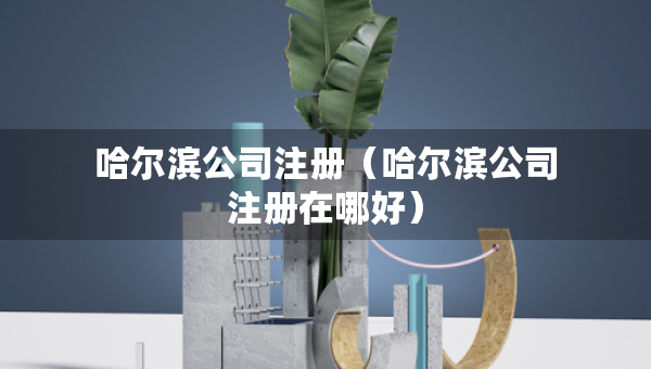 哈尔滨公司注册（哈尔滨公司注册在哪好）