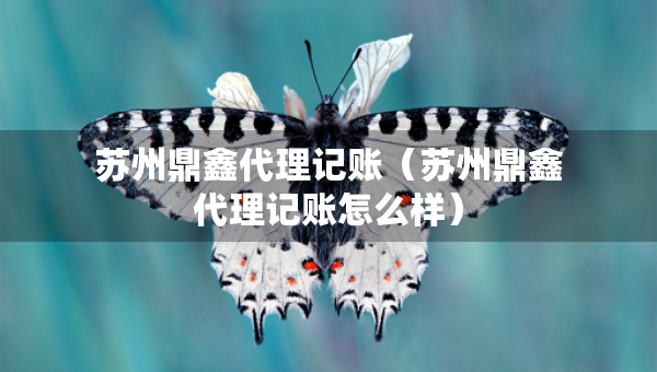 苏州鼎鑫代理记账(苏州鼎鑫代理记账怎么样) 苏州鼎鑫代理记账(苏州鼎鑫代理记账怎么样)