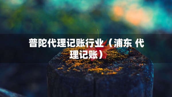 普陀代理记账行业（浦东 代理记账）