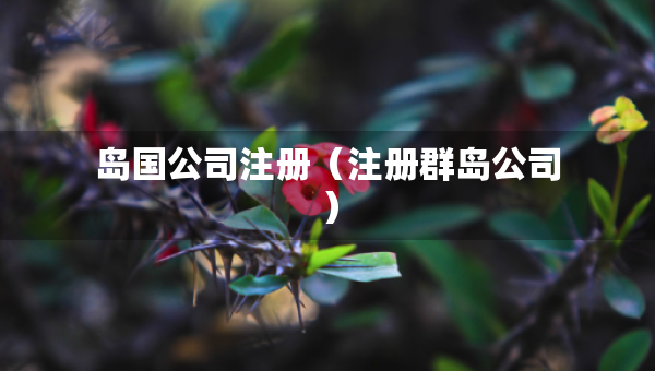 岛国公司注册（注册群岛公司）
