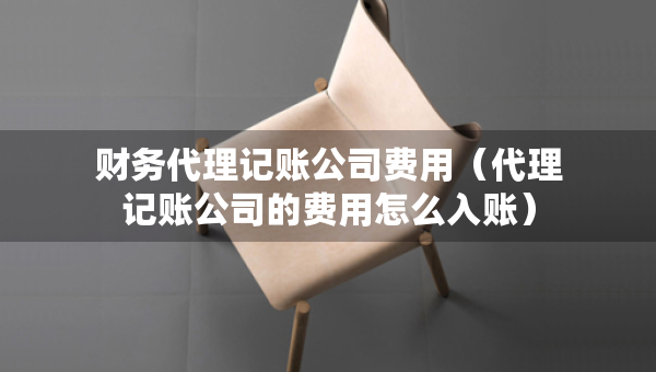 财务代理记账公司费用（代理记账公司的费用怎么入账）