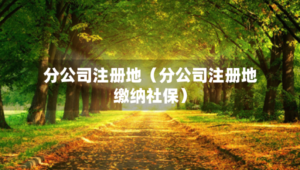 分公司注册地（分公司注册地缴纳社保）