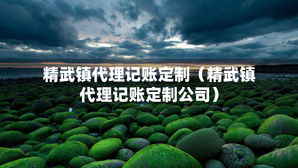 精武镇代理记账定制（精武镇代理记账定制公司）