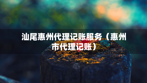 汕尾惠州代理记账服务（惠州市代理记账）