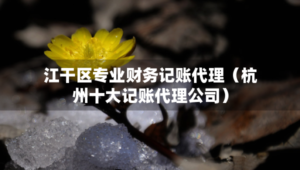 江干区专业财务记账代理（杭州十大记账代理公司）