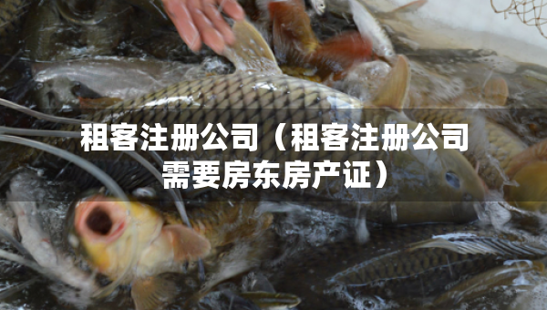 租客注册公司（租客注册公司需要房东房产证）