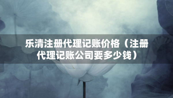 乐清注册代理记账价格（注册代理记账公司要多少钱）