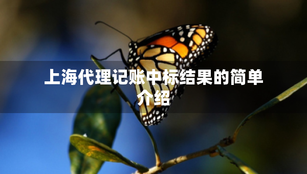 上海代理记账中标结果的简单介绍