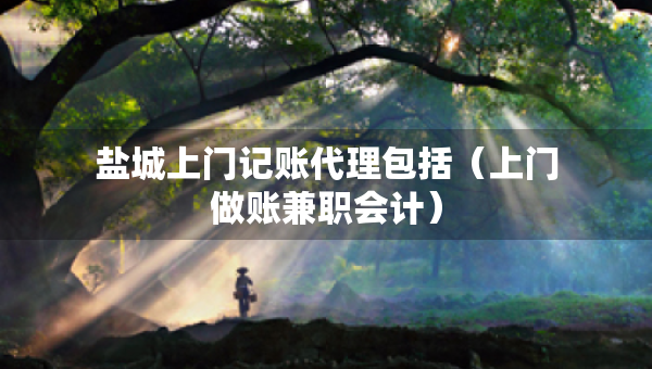 盐城上门记账代理包括（上门做账兼职会计）