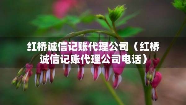 红桥诚信记账代理公司（红桥诚信记账代理公司电话）