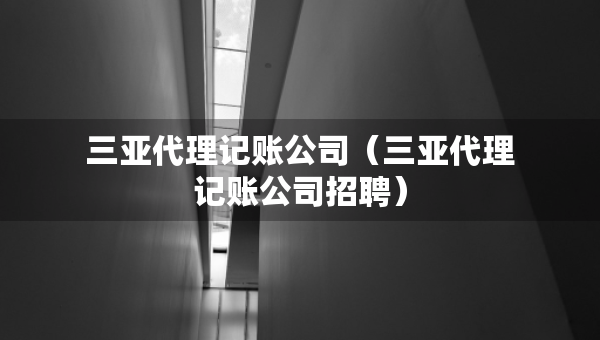 三亚代理记账公司（三亚代理记账公司招聘）