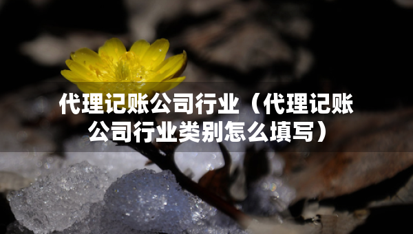 代理记账公司行业（代理记账公司行业类别怎么填写）
