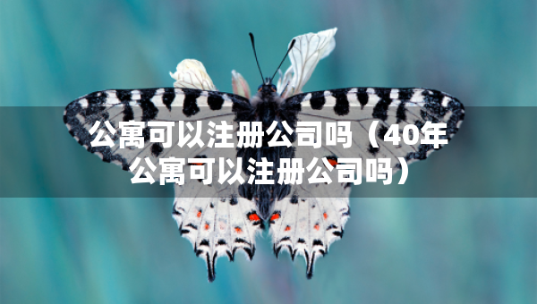 公寓可以注册公司吗（40年公寓可以注册公司吗）