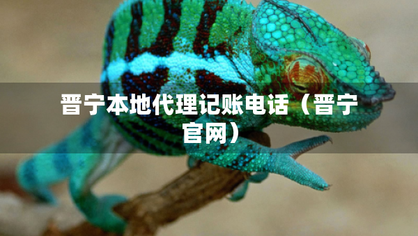 晋宁本地代理记账电话（晋宁官网）