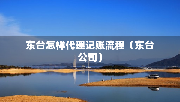 东台怎样代理记账流程（东台公司）