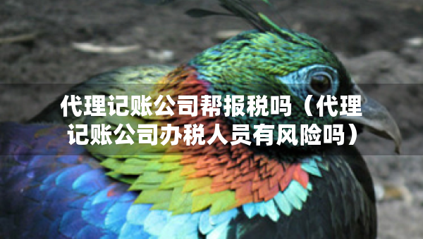 代理记账公司帮报税吗（代理记账公司办税人员有风险吗）