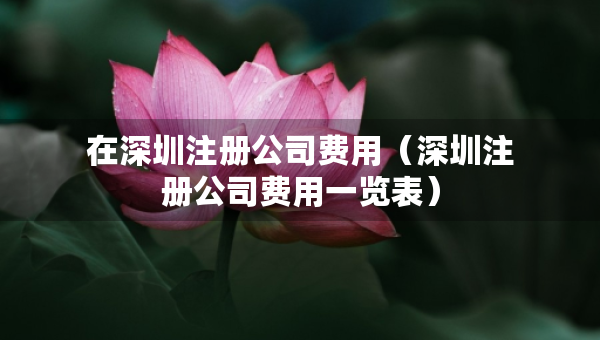在深圳注册公司费用（深圳注册公司费用一览表）