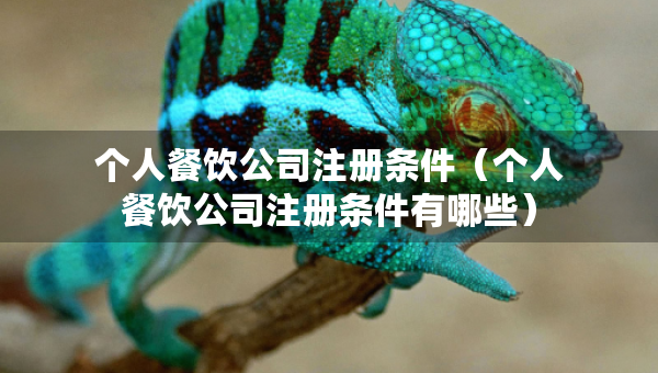 个人餐饮公司注册条件（个人餐饮公司注册条件有哪些）