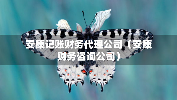 安康记账财务代理公司（安康财务咨询公司）