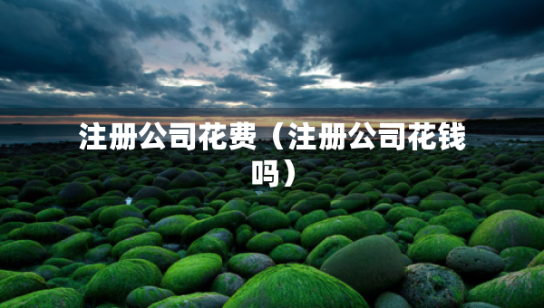 注册公司花费（注册公司花钱吗）