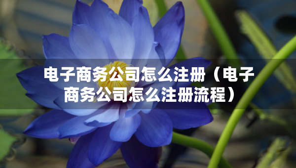 电子商务公司怎么注册（电子商务公司怎么注册流程）