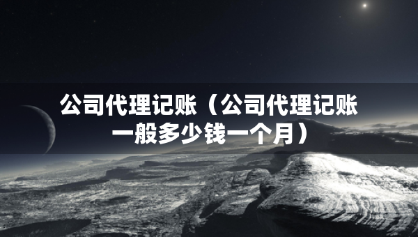 公司代理记账（公司代理记账一般多少钱一个月）