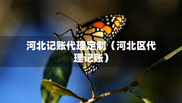 河北记账代理定制（河北区代理记账）