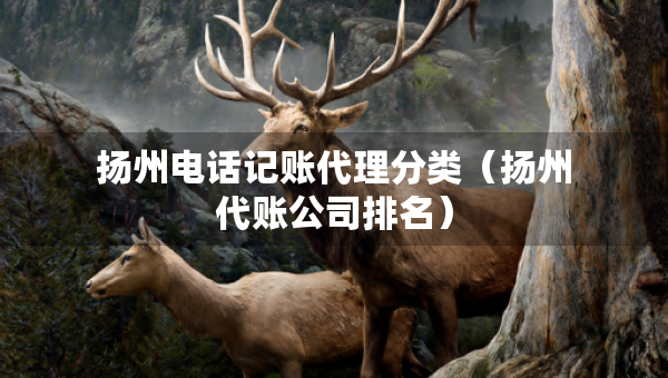 扬州电话记账代理分类（扬州代账公司排名）