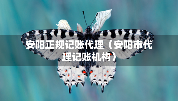 安阳正规记账代理（安阳市代理记账机构）
