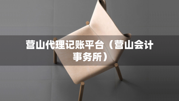 营山代理记账平台（营山会计事务所）