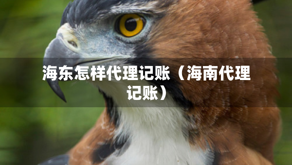 海东怎样代理记账（海南代理记账）