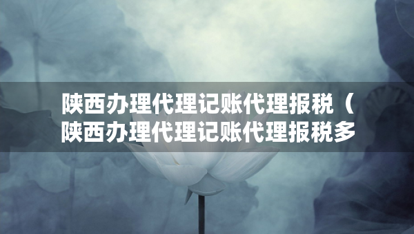 陕西办理代理记账代理报税（陕西办理代理记账代理报税多少钱）