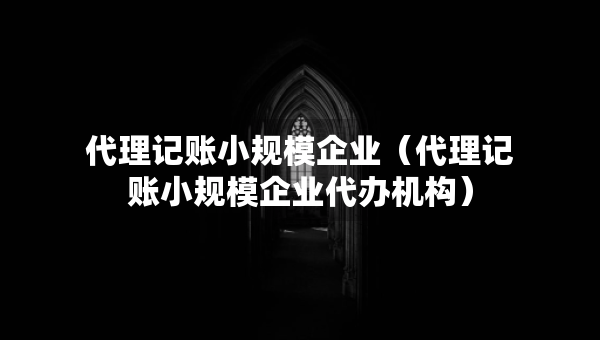 代理记账小规模企业(代理记账小规模企业代办机构) 代理记账小规模企业(代理记账小规模企业代办机构)
