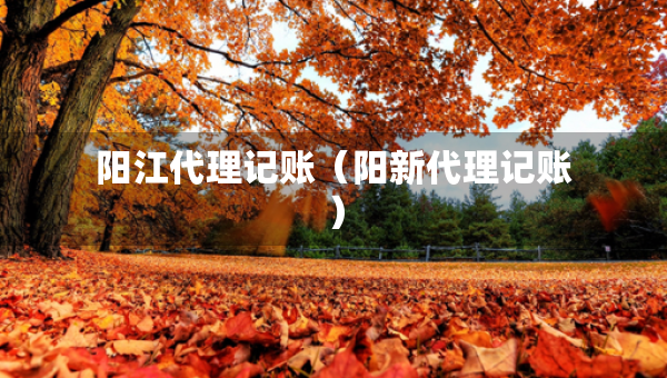 阳江代理记账（阳新代理记账）
