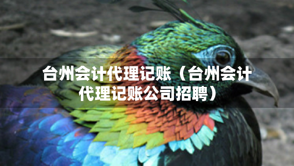 台州会计代理记账（台州会计代理记账公司招聘）