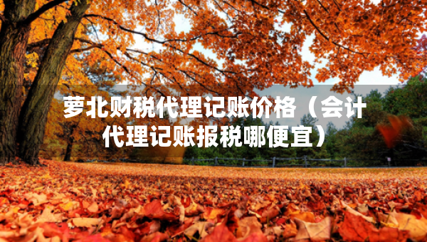 萝北财税代理记账价格（会计代理记账报税哪便宜）