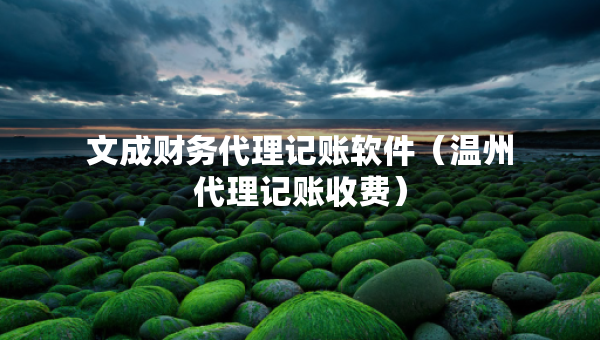 文成财务代理记账软件（温州代理记账收费）