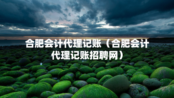 合肥会计代理记账（合肥会计代理记账招聘网）