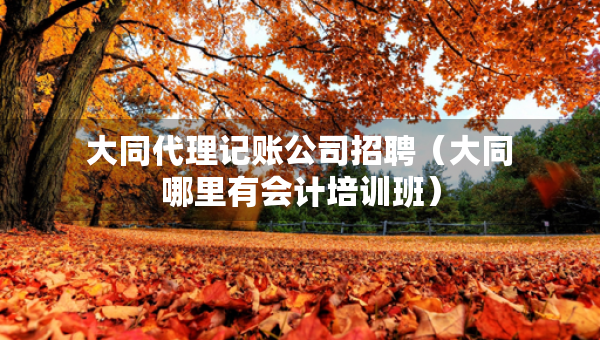 大同代理记账公司招聘(大同哪里有会计培训班) 大同代理记账公司招聘(大同哪里有会计培训班)