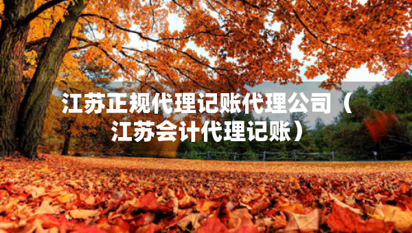 江苏正规代理记账代理公司（江苏会计代理记账）