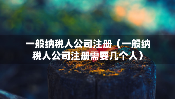一般纳税人公司注册（一般纳税人公司注册需要几个人）