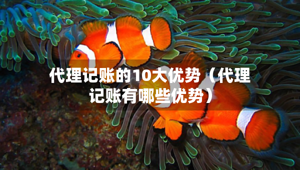 代理记账的10大优势（代理记账有哪些优势）