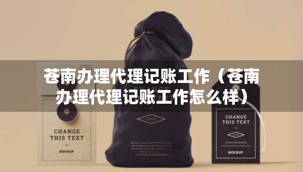 苍南办理代理记账工作（苍南办理代理记账工作怎么样）